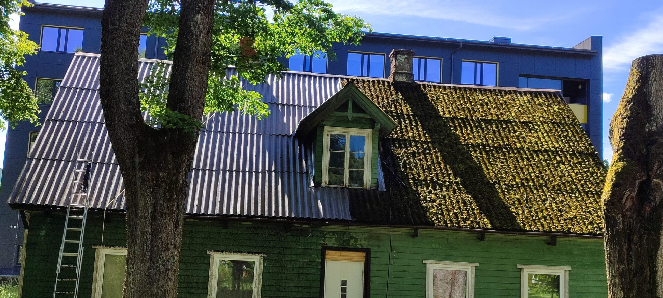samblatõrje katusel